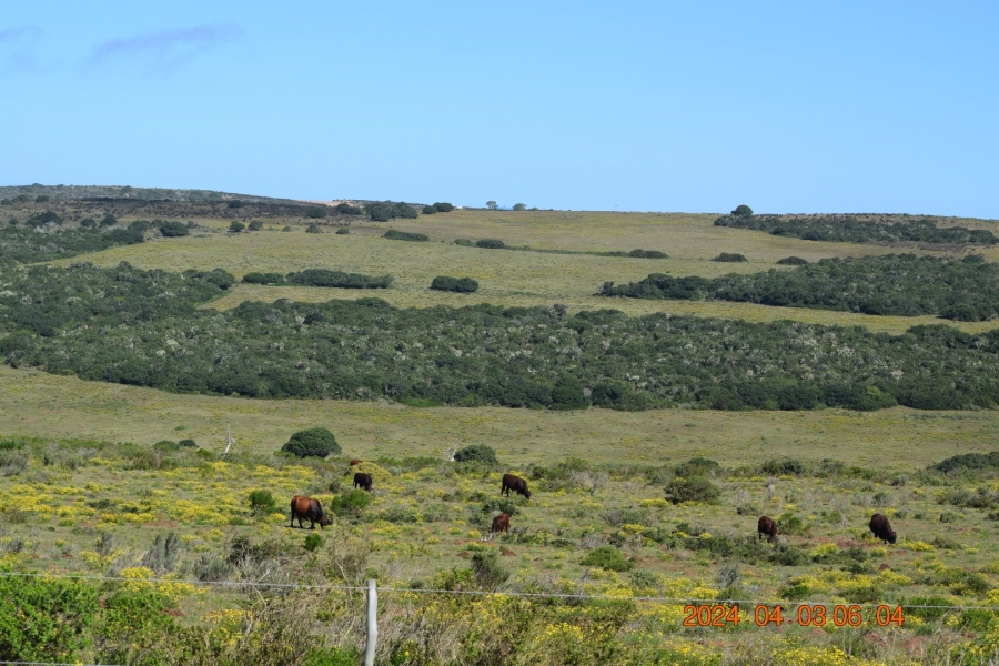 3 Bedroom Property for Sale in Stilbaai Rural Western Cape